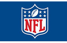 NFL Flag 3ft x 5ft Polyester NFL Banner Flying Size No